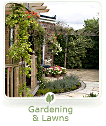 Gardening Gallery